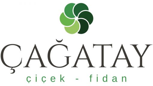 Çağatay Çiçekçilik ve Fidancılık