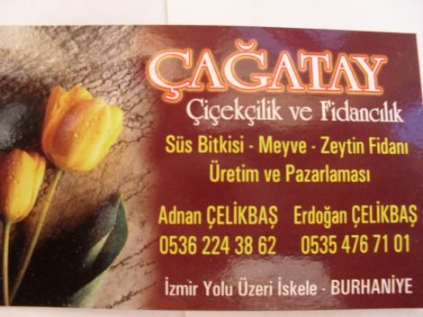  Çağatay Çiçekçilik
